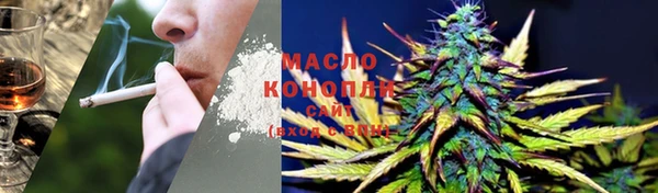 гашик Богданович