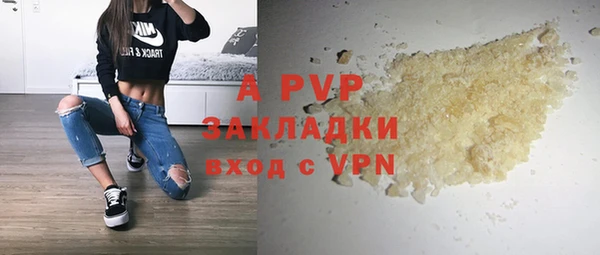 гашик Богданович