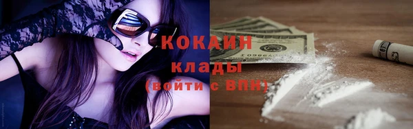 гашик Богданович