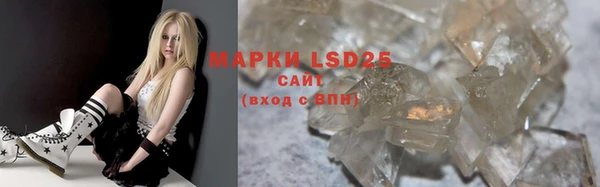 гашик Богданович