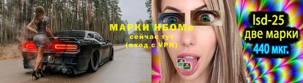 гашик Богданович